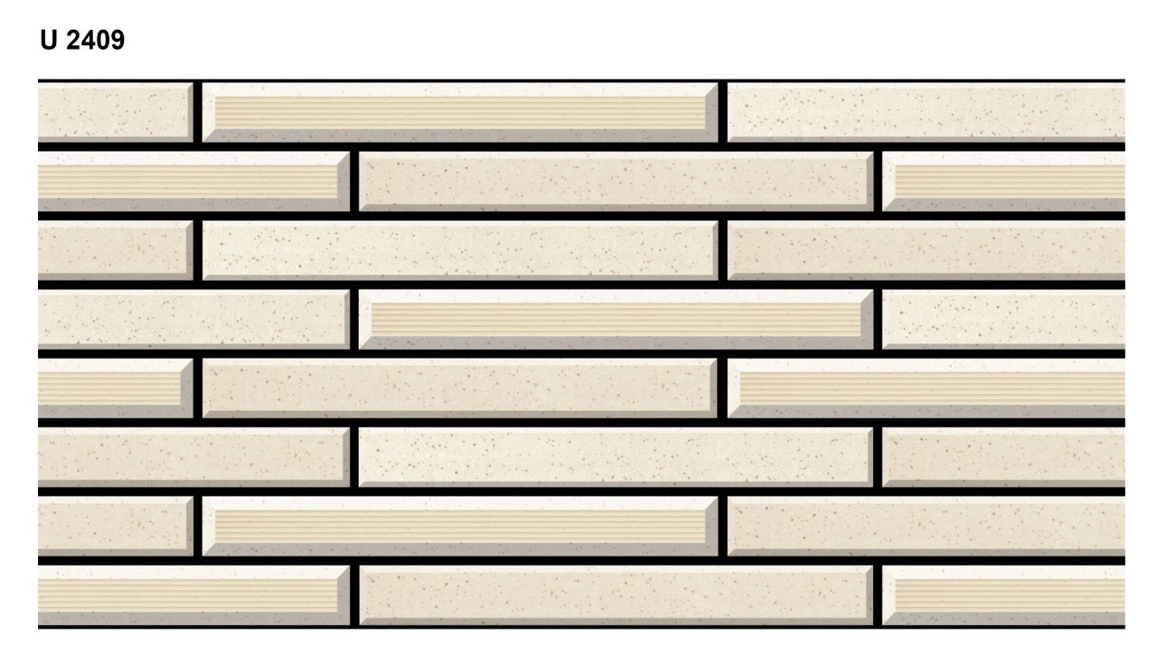 Gạch trang trí 20*40(2409)