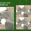 Gạch sân vườn 20*50(1602)