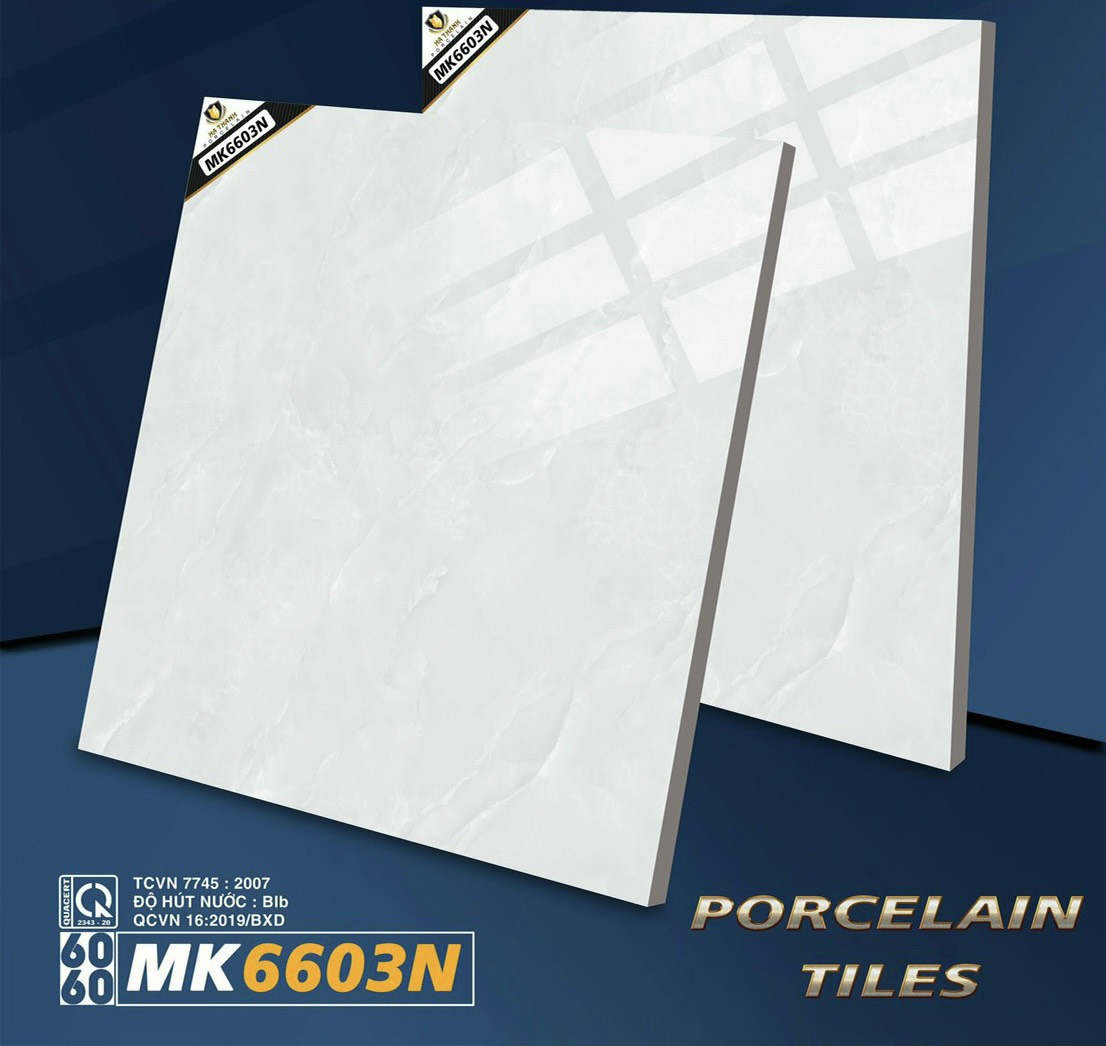 Gạch lót nền 60*60 (6603)