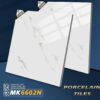 Gạch lót nền 60*60 (6602)