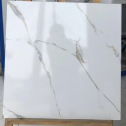 Gạch lót nền 60*60