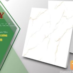 GẠCH PORCELAIN NANO KIM CƯƠNG 60*60